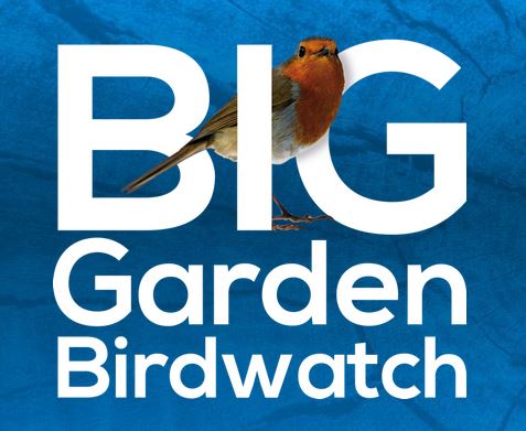 Are Your Children Taking Part In The RSPB Big Garden Bird Watch?