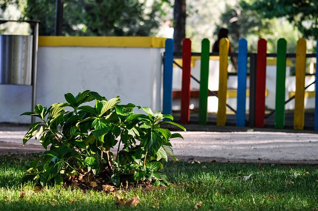 Ready for this Years Outdoor Classroom Day This November?